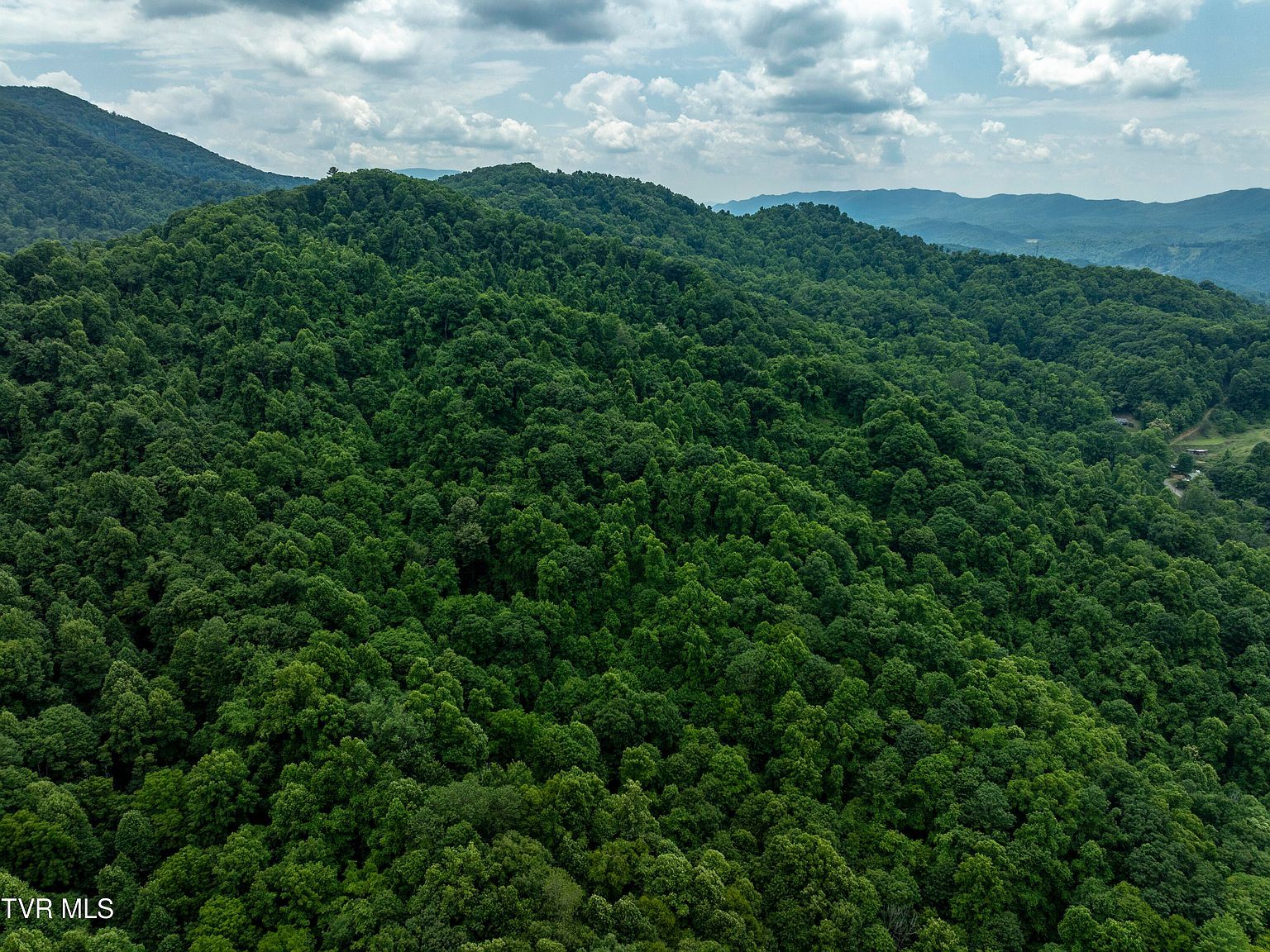 Tbd Whitehead Hollow Rd Roan Mountain, TN 37687 - Thumbnail 5