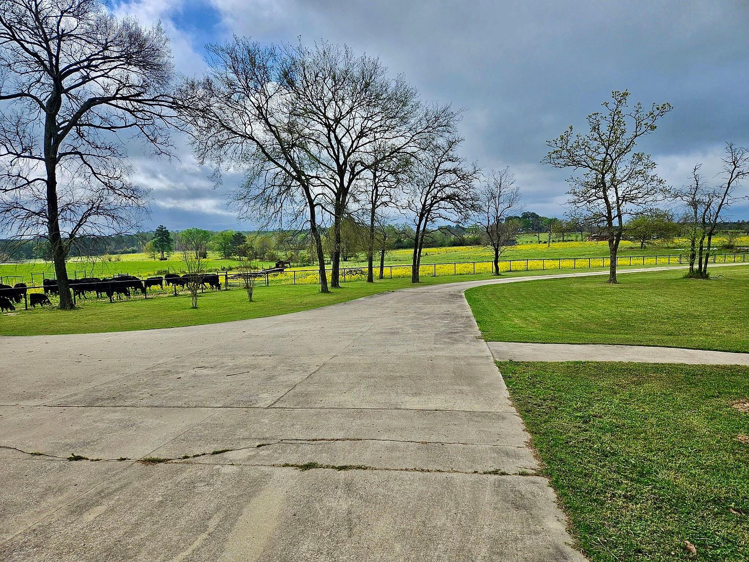 377 Fm 3179 Rd Huntsville, TX 77340 - Thumbnail 5