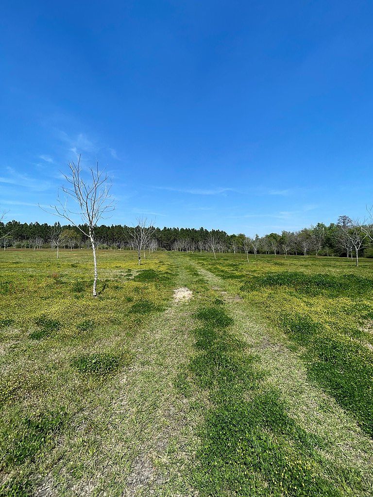 25 Ponderosa Ln Lakeland, GA 31635 - Thumbnail 5