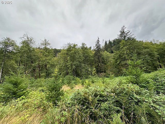 2 N Dubois Rd Ariel, WA 98603 - Thumbnail 5