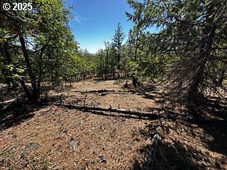 2 Orchard Heights Rd Goldendale, WA 98620 - Thumbnail 5