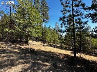 1 Orchard Heights Rd Goldendale, WA 98620 - Thumbnail 5