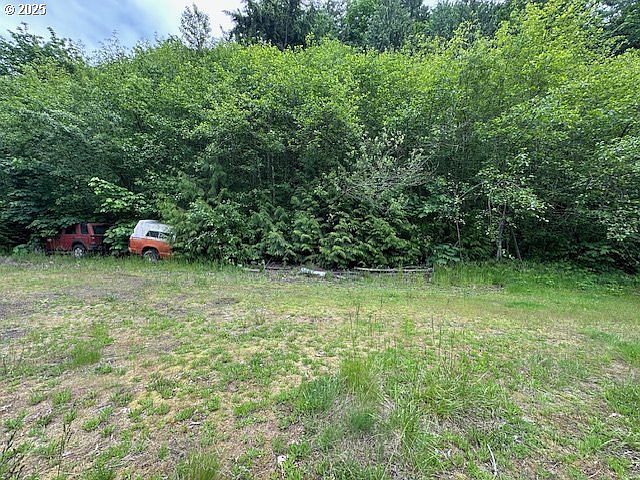 257 Serenity Ln Kalama, WA 98625 - Thumbnail 5