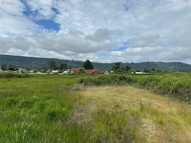 1 Springer St #4 Cathlamet, WA 98612 - Thumbnail 5