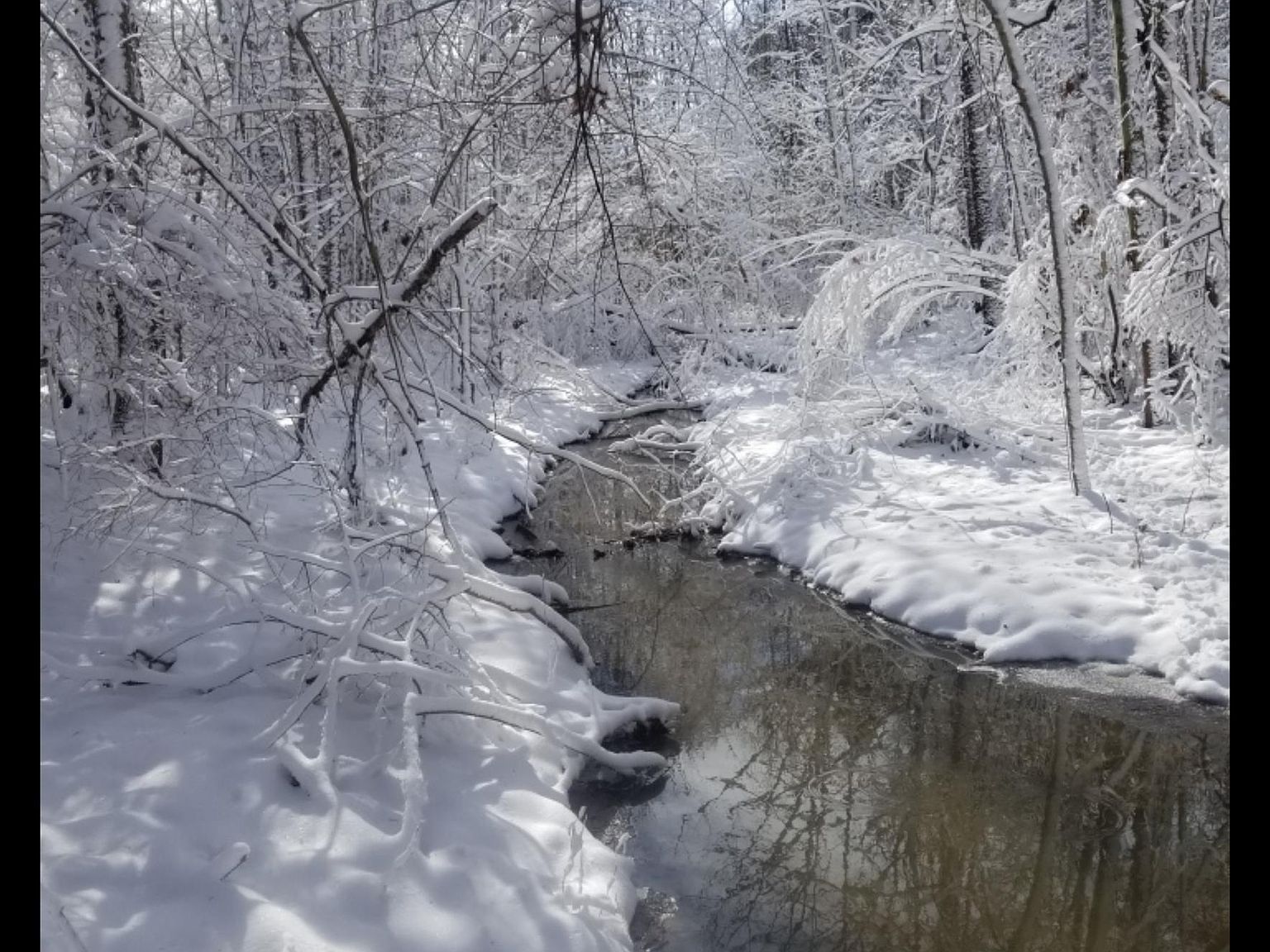 208 Dewmaine School Rd Carterville, IL 62918 - Thumbnail 5