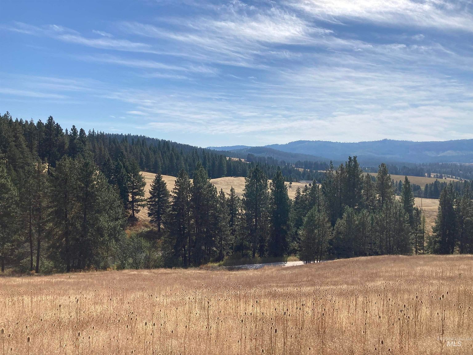 Tukta Way Ln Princeton, ID 83857 - Thumbnail 5