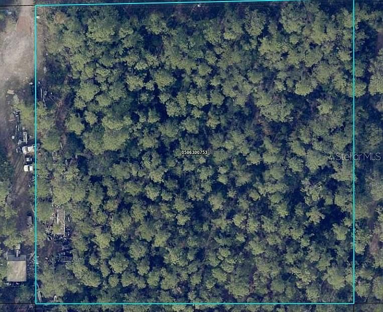 4225 Melanie St Hastings, FL 32145 | Land/Lot