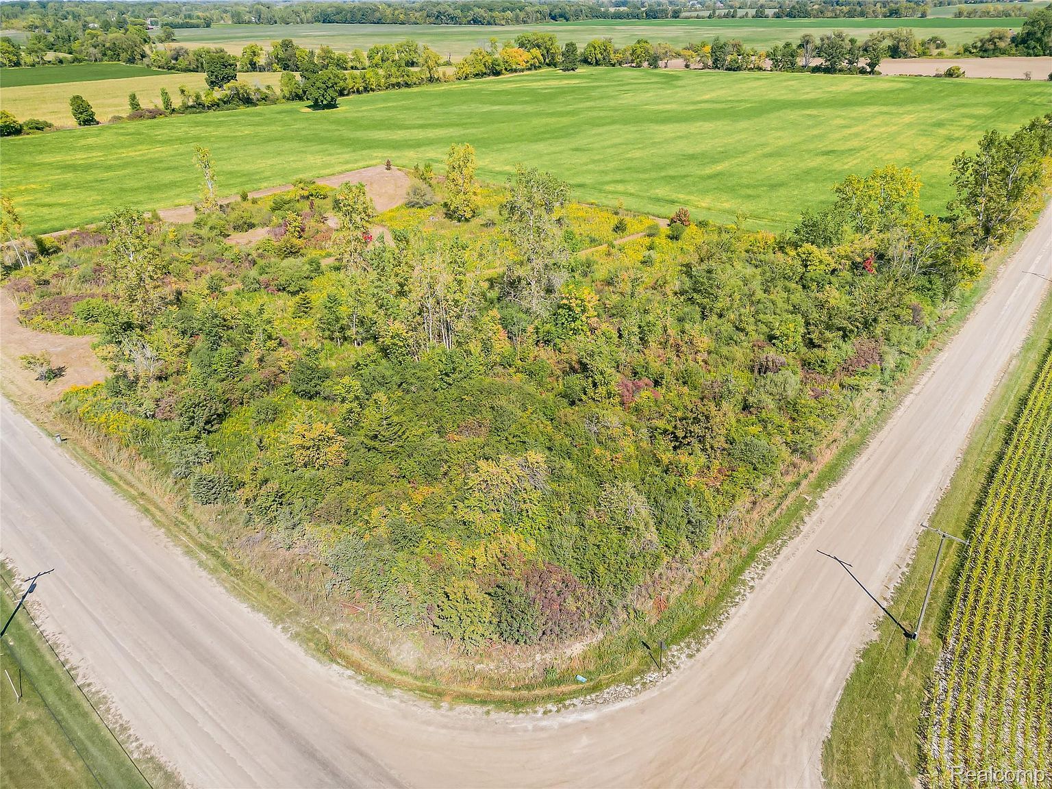 9991 McCrone Rd Milan, MI 48160 | Land/Lot
