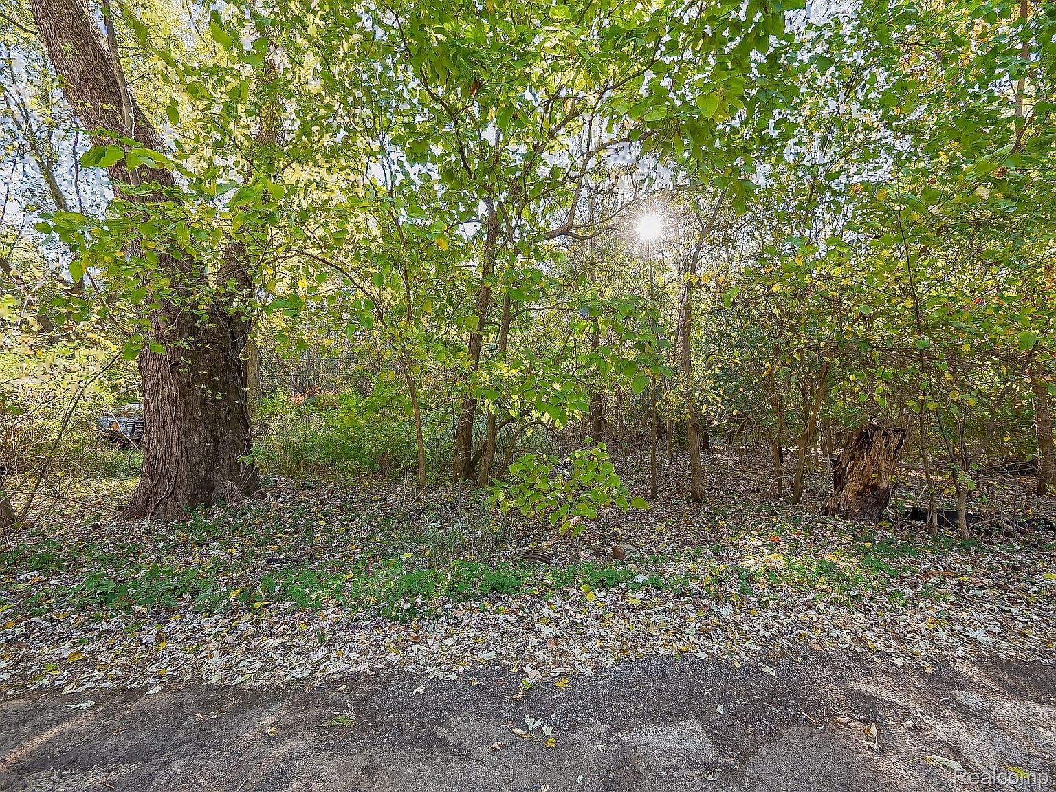 0 Listeria St Commerce Township, MI 48382 - Thumbnail 5