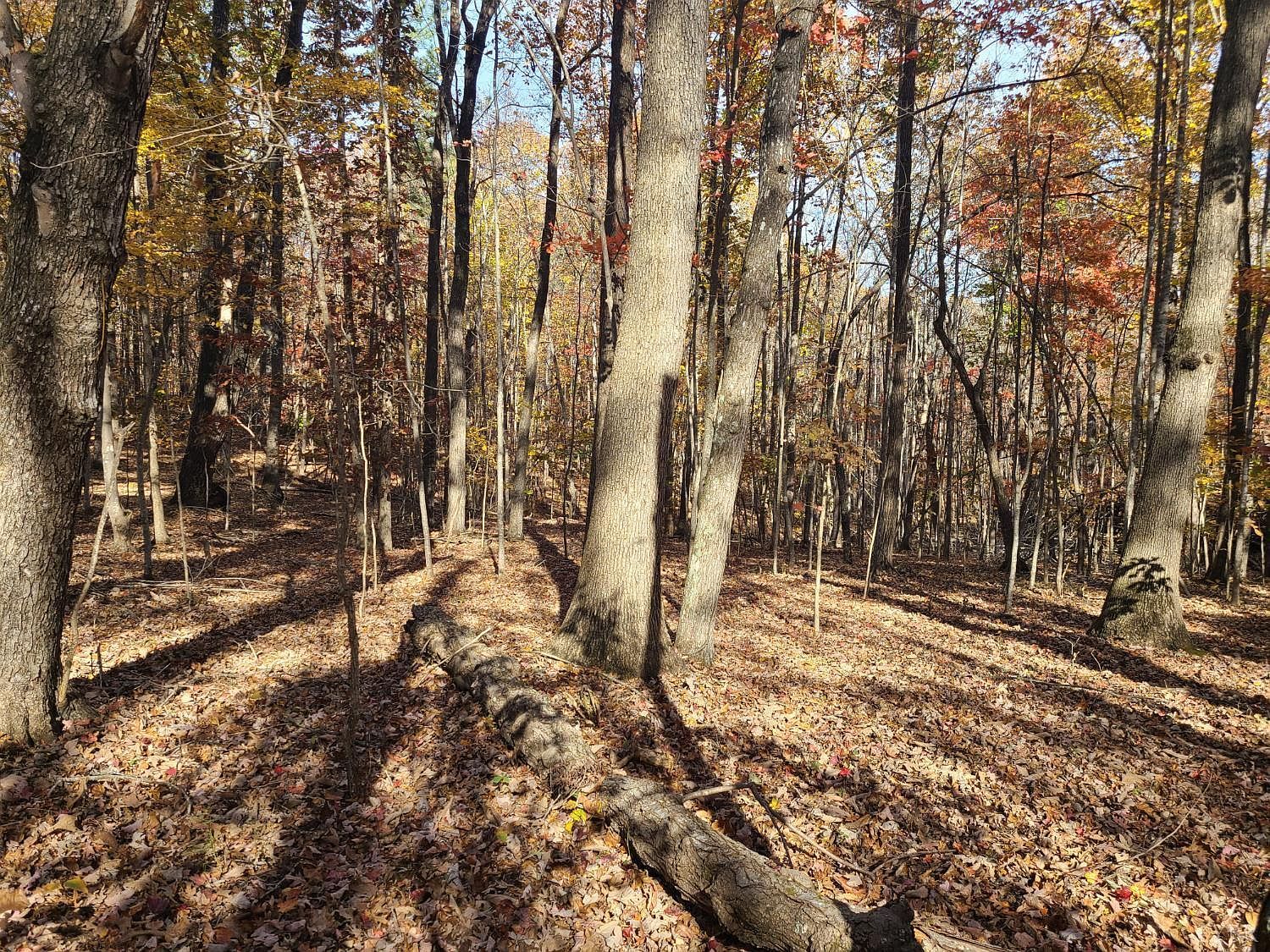 0 Ashwell Ridge Dr LOT 29 Huddleston, VA 24104 - Thumbnail 5