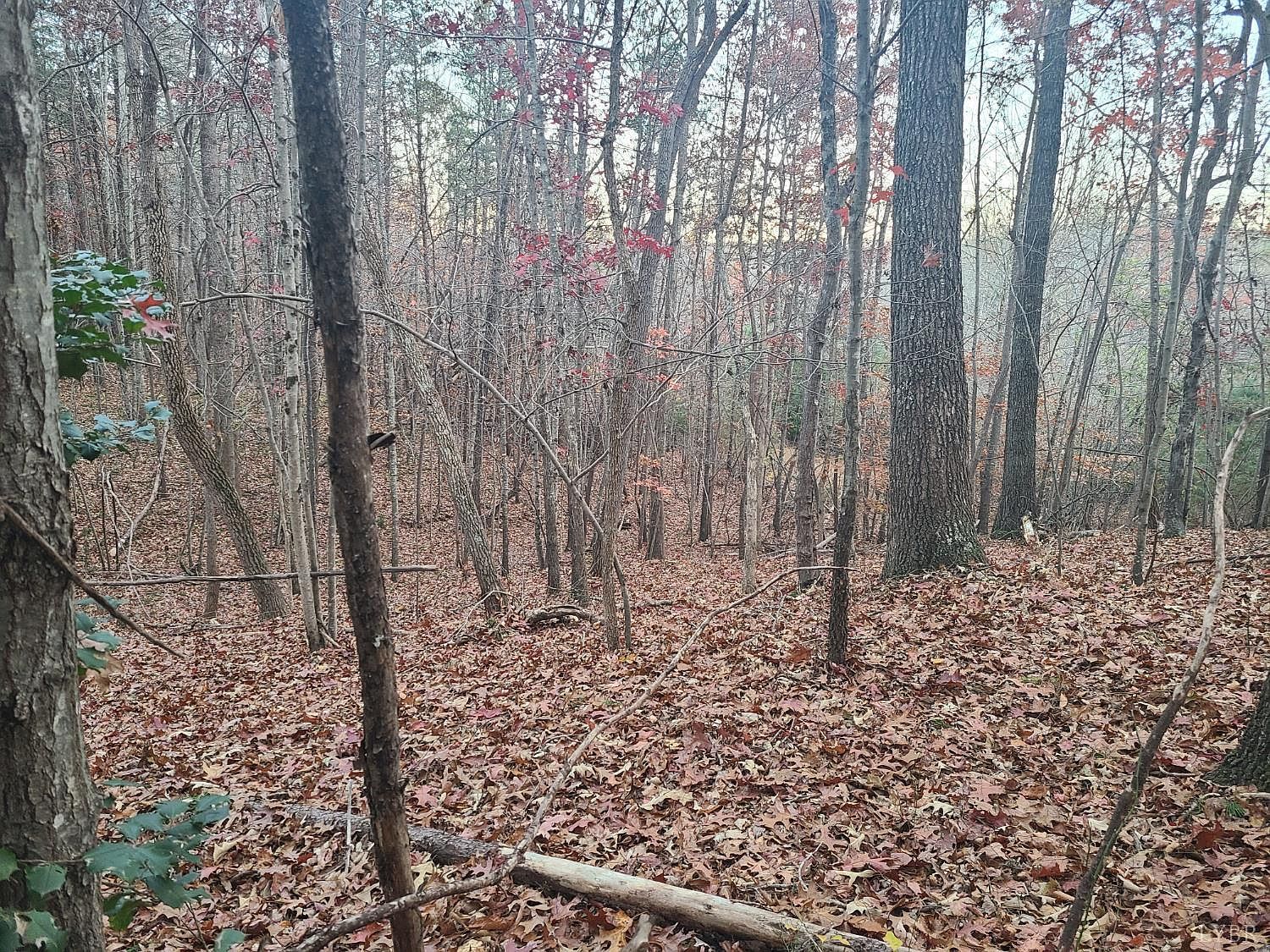 0 Ashwell Ridge Dr #14 Huddleston, VA 24104 - Thumbnail 5