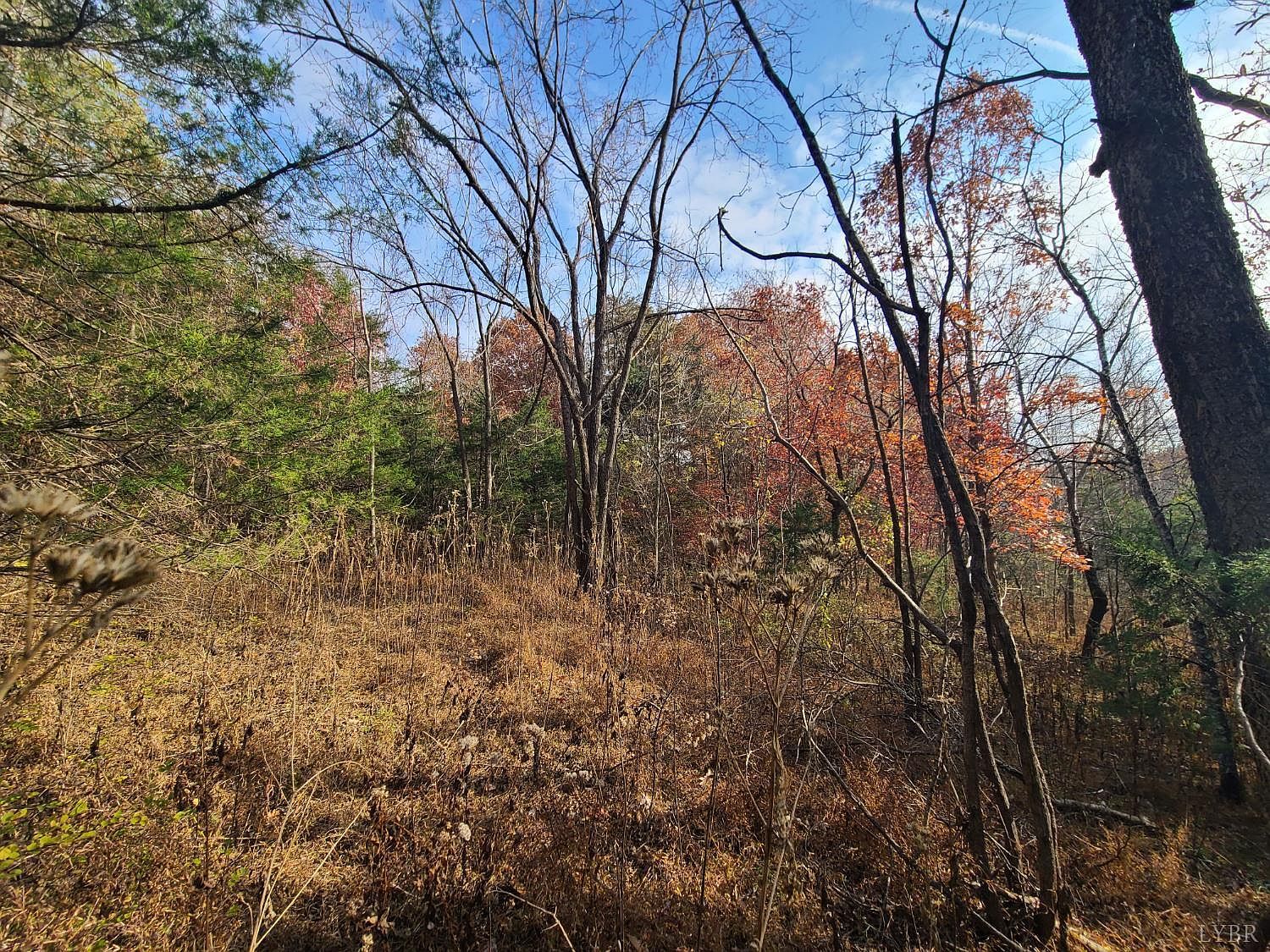 0 Pittsville Rd LOT 12 Gretna, VA 24557 - Thumbnail 5