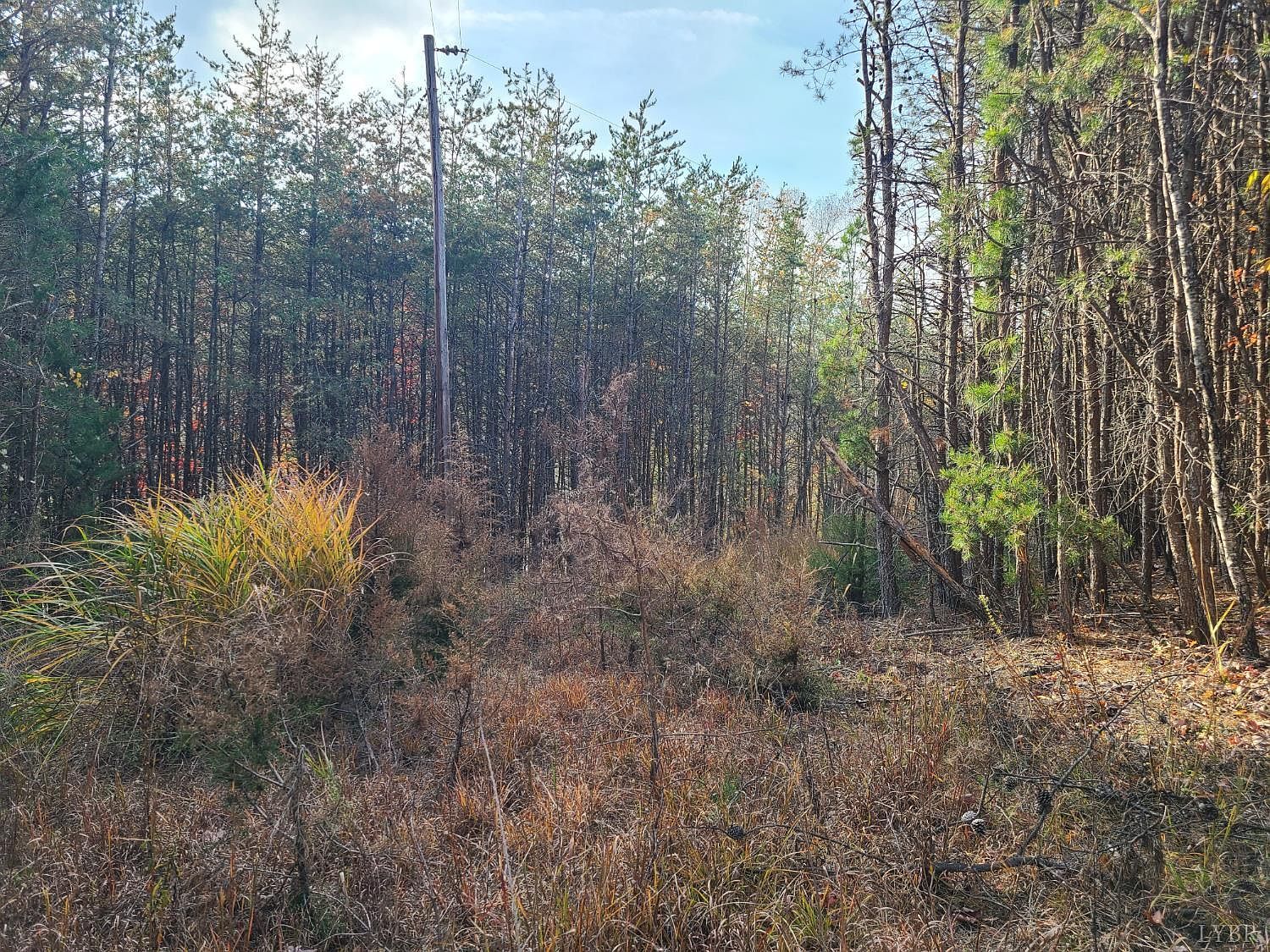 0 Pittsville Rd LOT 10 Gretna, VA 24557 | Land/Lot