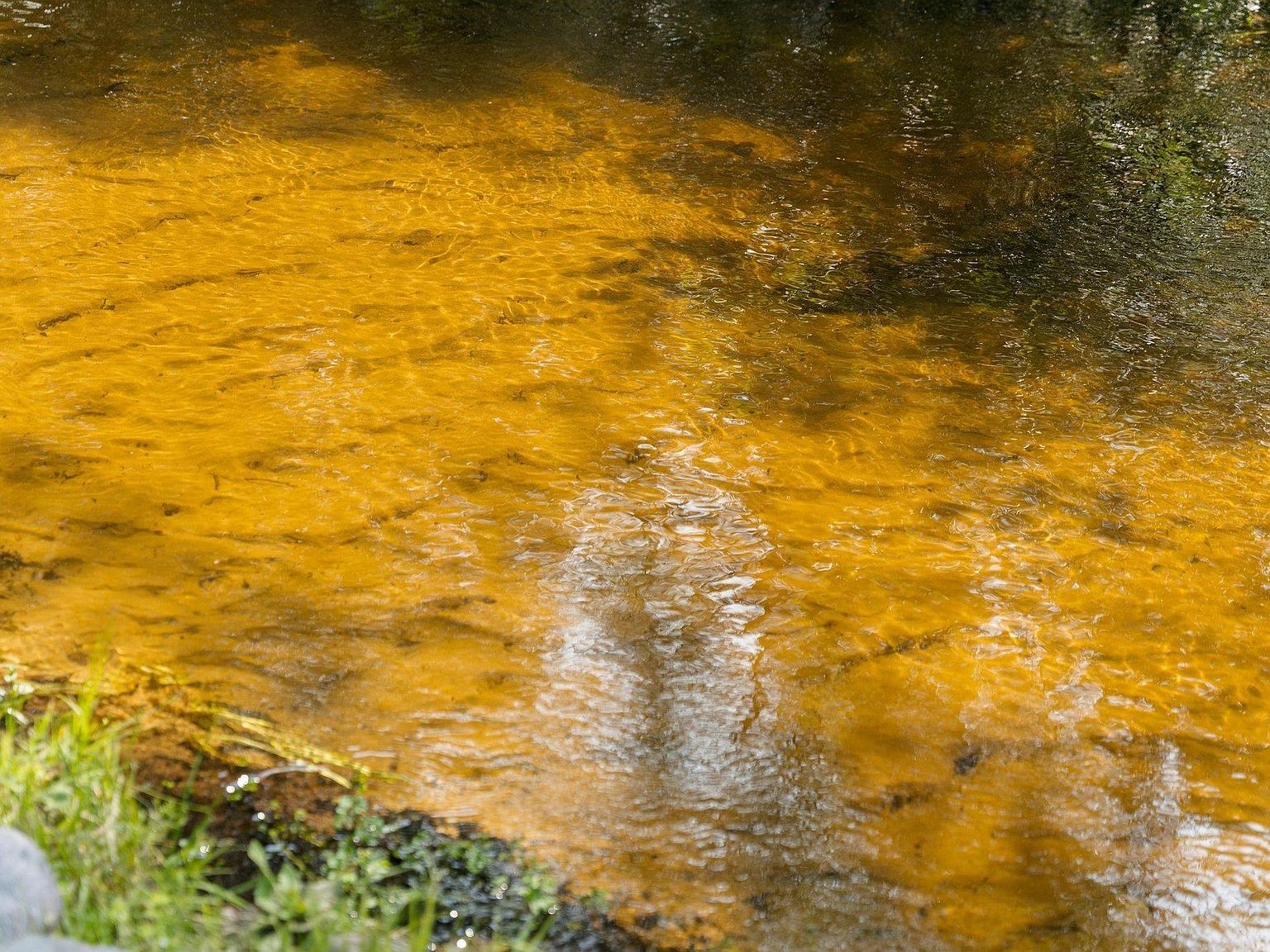 6202 Fletcher Rd SE Fife Lake, MI 49633 - Thumbnail 5