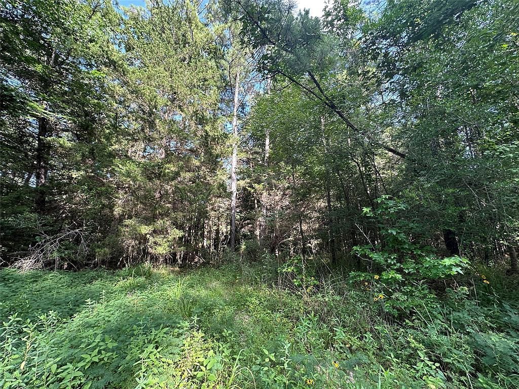 Dickens Loop Livingston, TX 77351 - Thumbnail 5