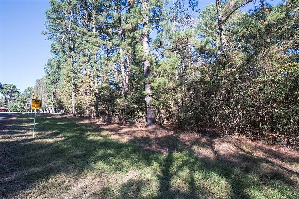 Mockingbird Hls LOT 503 Livingston, TX 77351 - Thumbnail 5