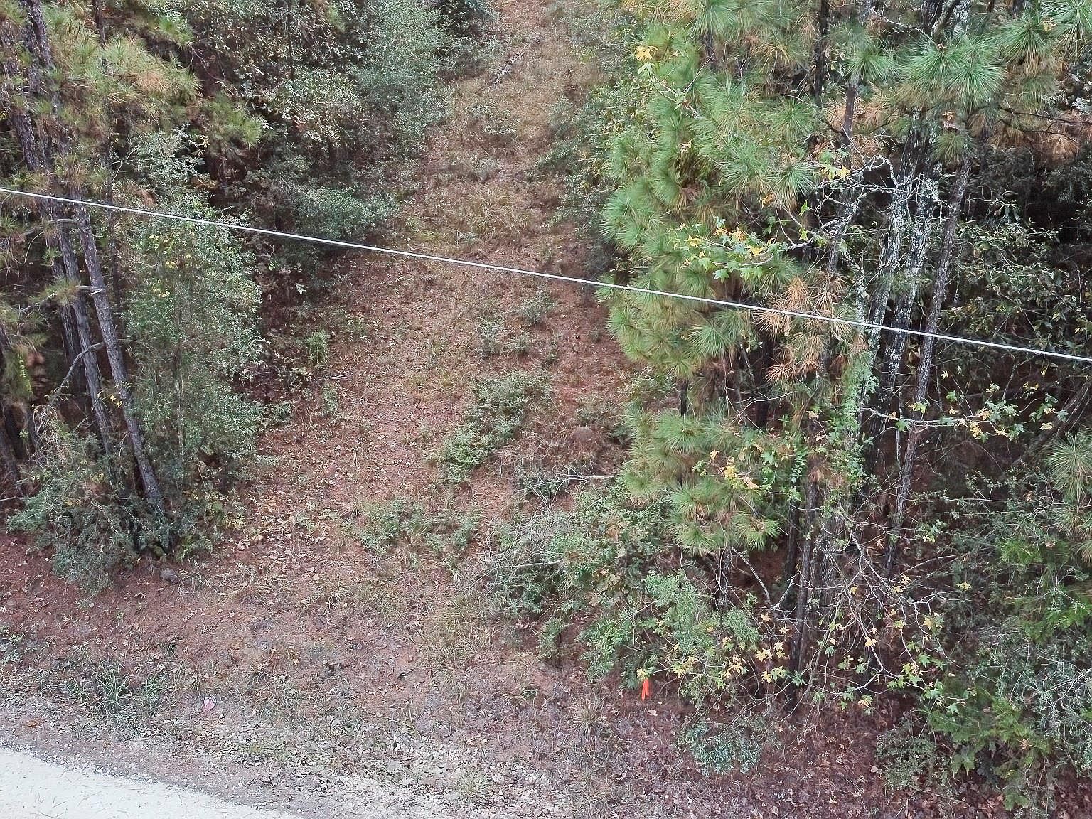 186 Rosanky Leggett, TX 77351 - Thumbnail 5