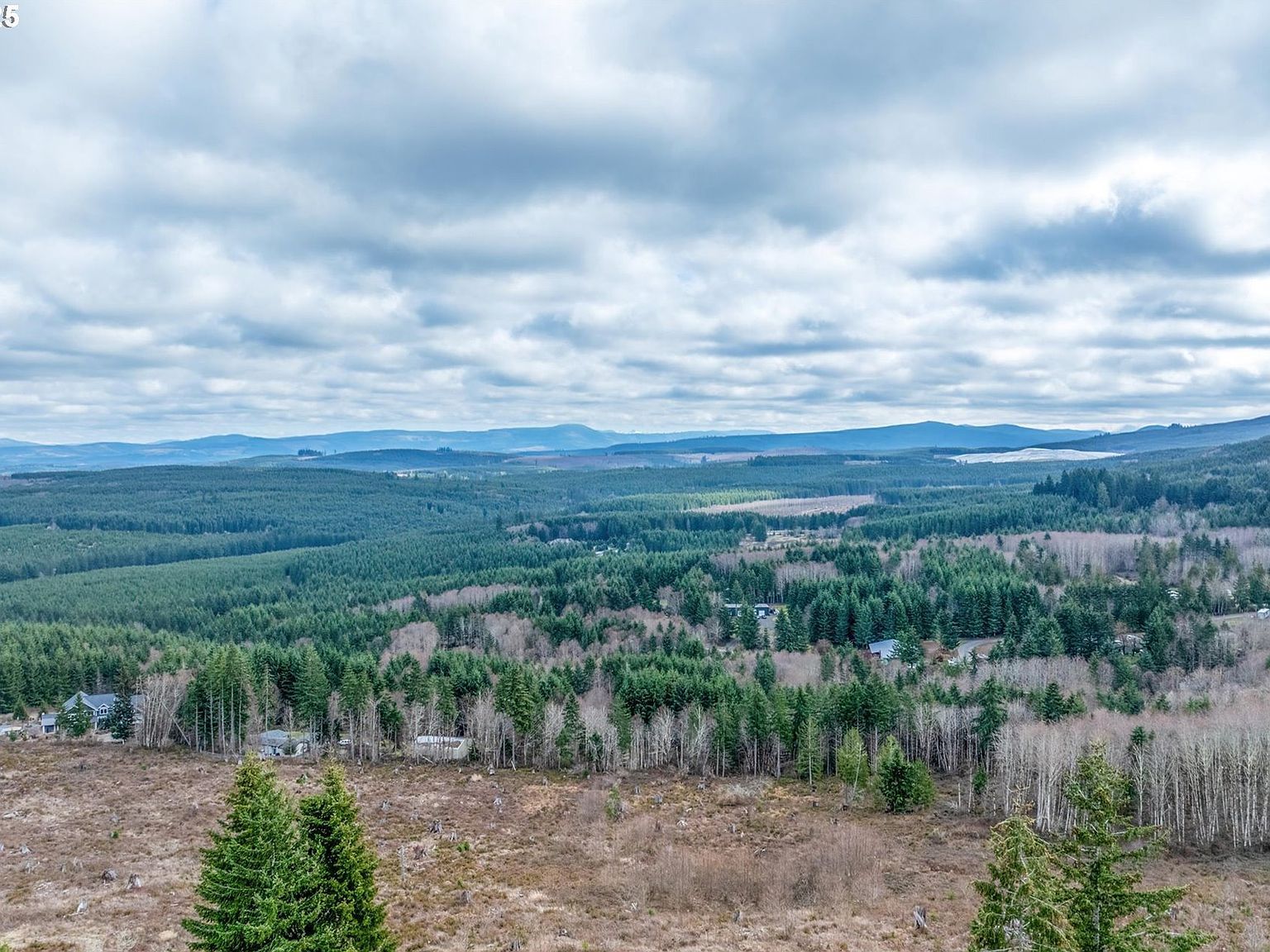 497 Red Hawk Dr #7 Castle Rock, WA 98611 - Thumbnail 5