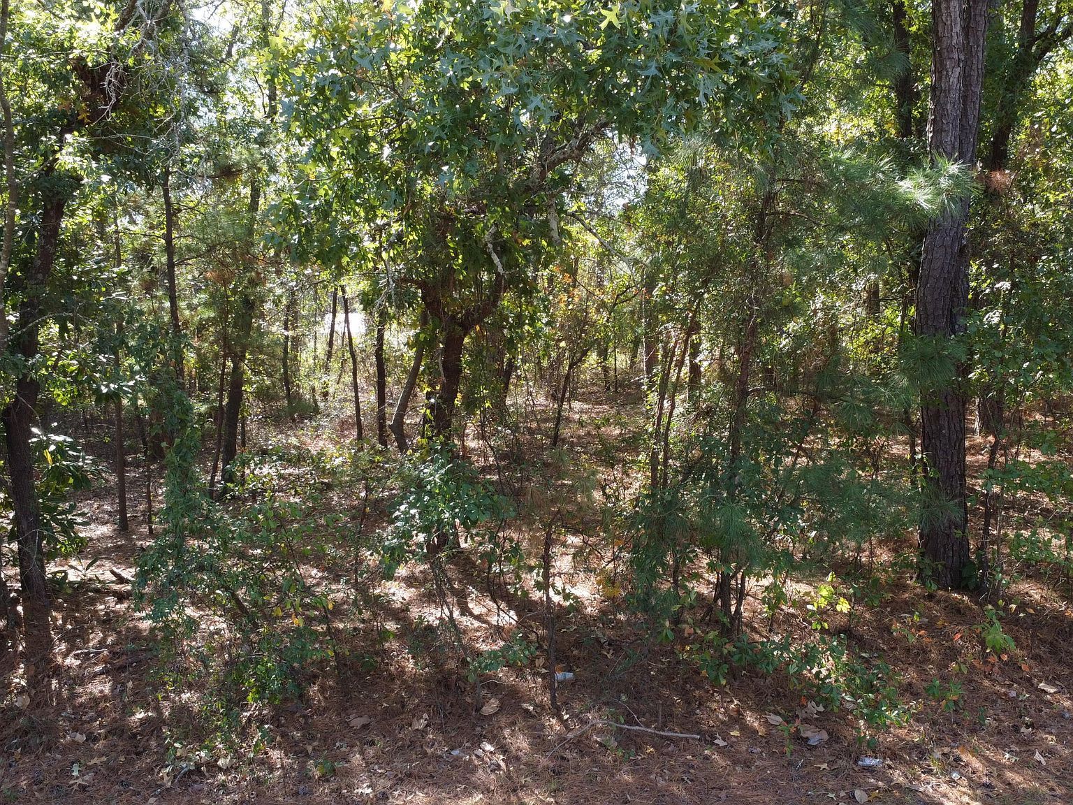 LOT 47 Ward Dr Dudley, NC 28333 - Thumbnail 5