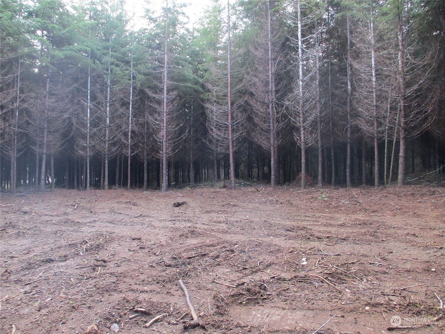 7 Beaver Hill Ln Montesano, WA 98563 - Thumbnail 5