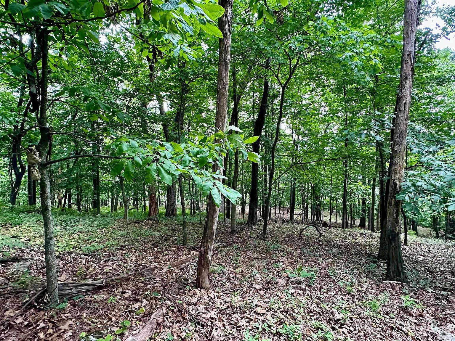 Troxel Gap Rd Middlebrook, VA 24459 - Thumbnail 5