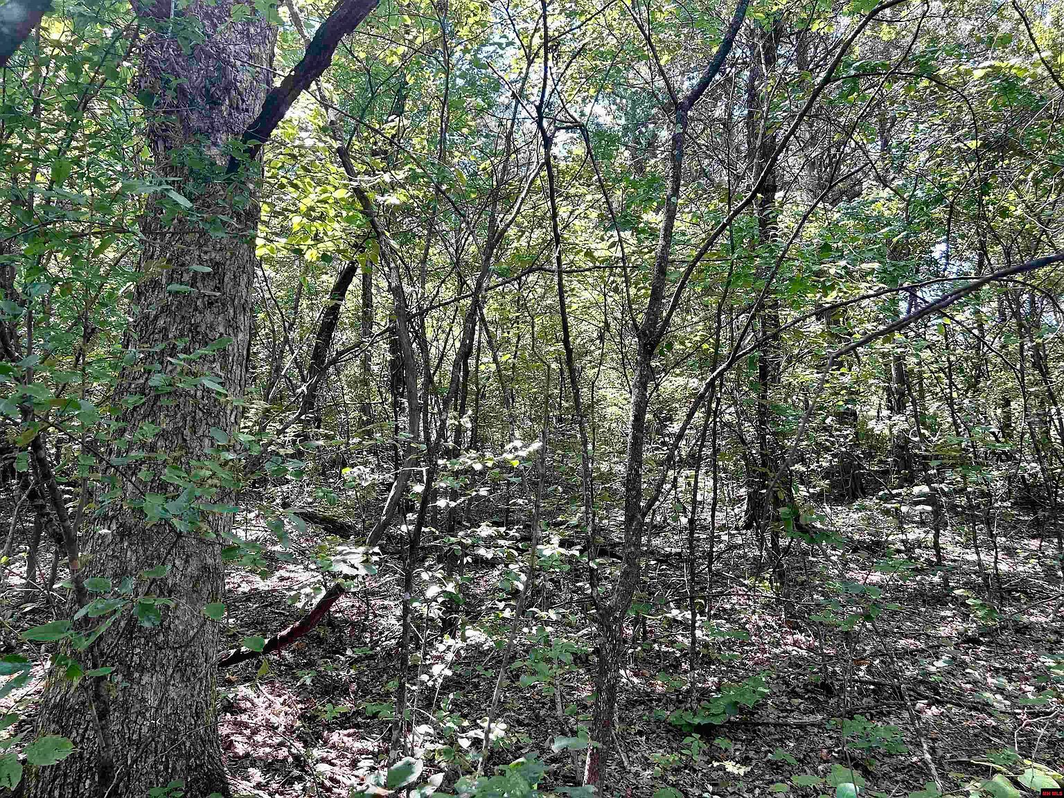 001-04468-000 County Road 606 Mountain Home, AR 72653 - Thumbnail 5