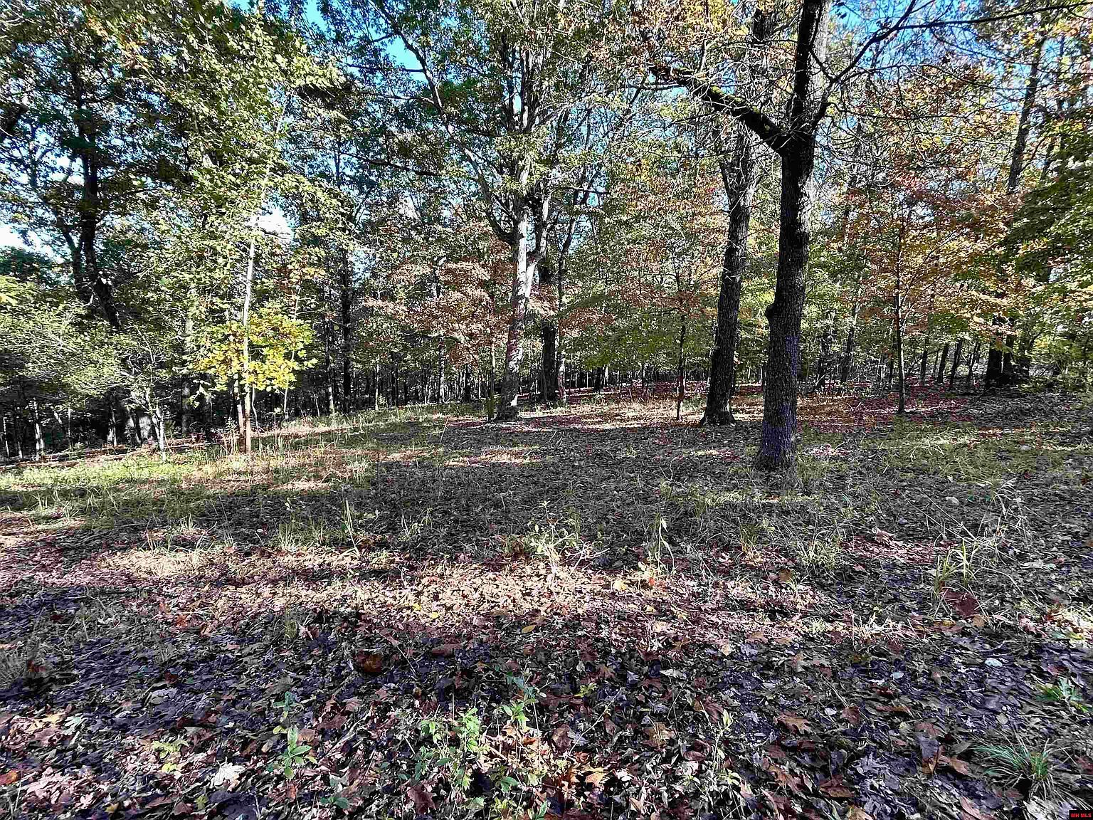 001-03309-006 Oakley Rd Mountain Home, AR 72653 - Thumbnail 5