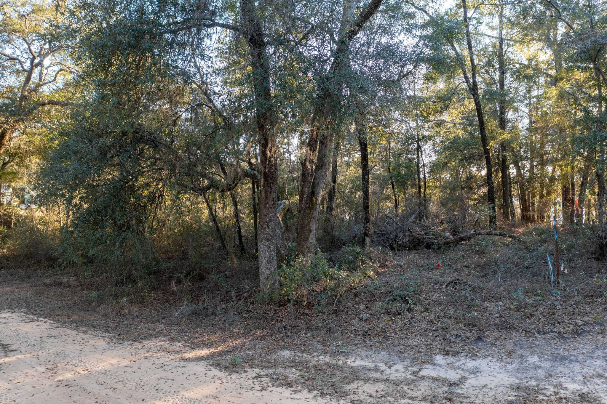 Lot 10 Paradise Lakes Road, Chipley, FL, 32428 - Thumbnail 5
