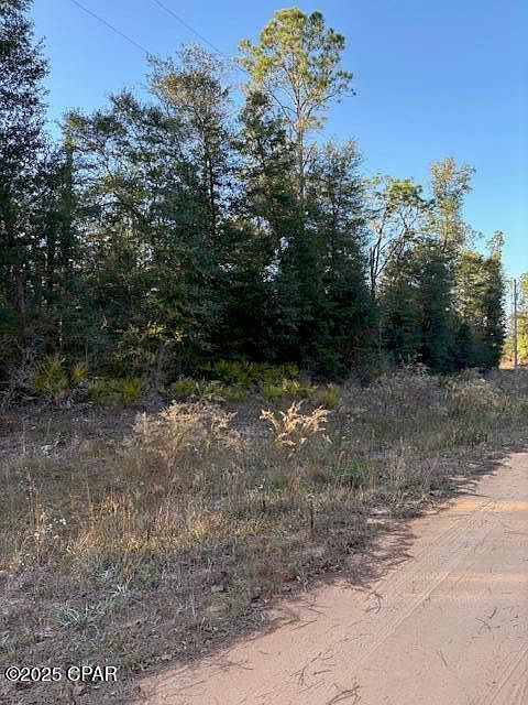 LOT 1 Arpana Cir Alford, FL 32420  | Single Family