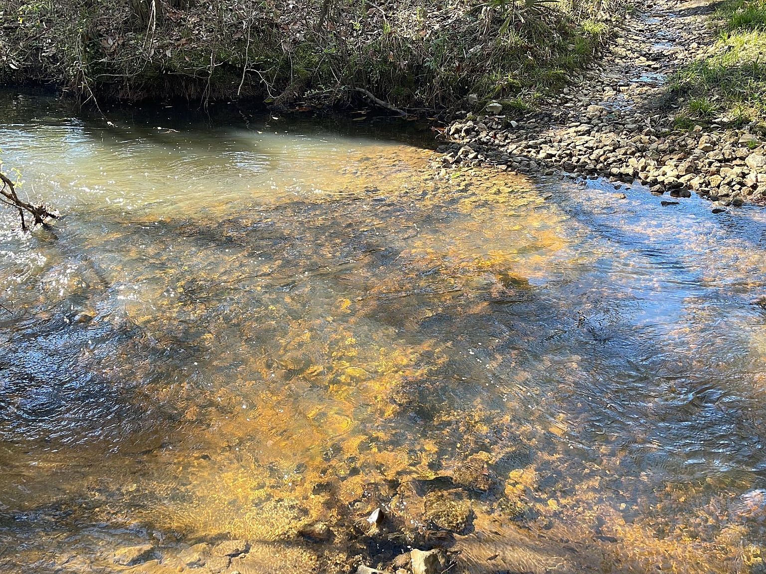 37 Ten Mile Rd Bonifay, FL 32425 - Thumbnail 5