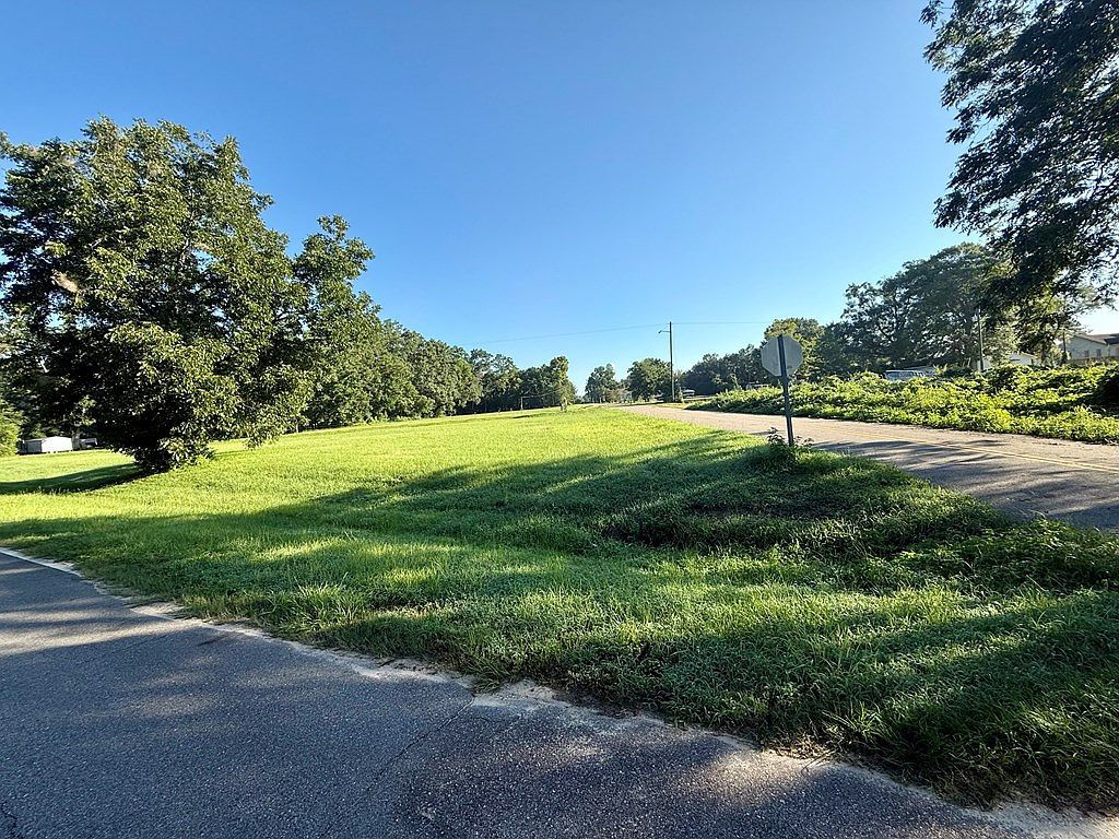0 W Lowery St Black, AL 36314  | Land/Lot