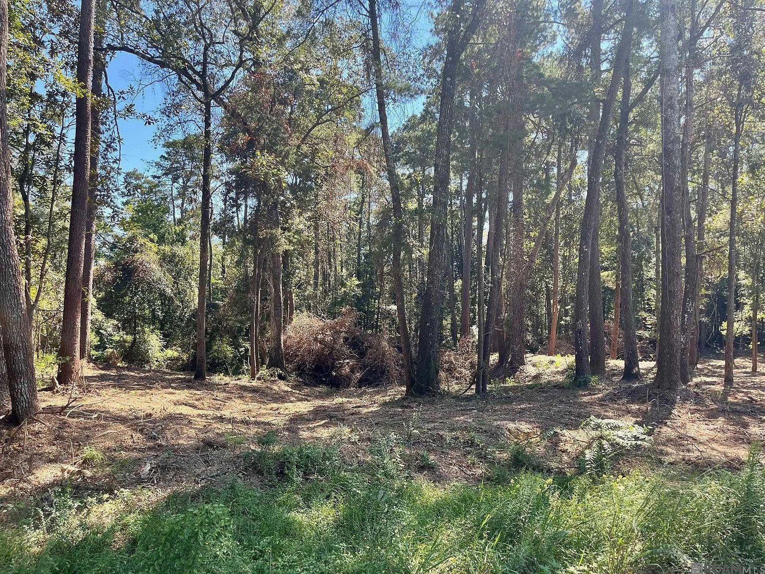 15902 Chaumont Ave Greenwell Springs, LA 70739 - Thumbnail 5