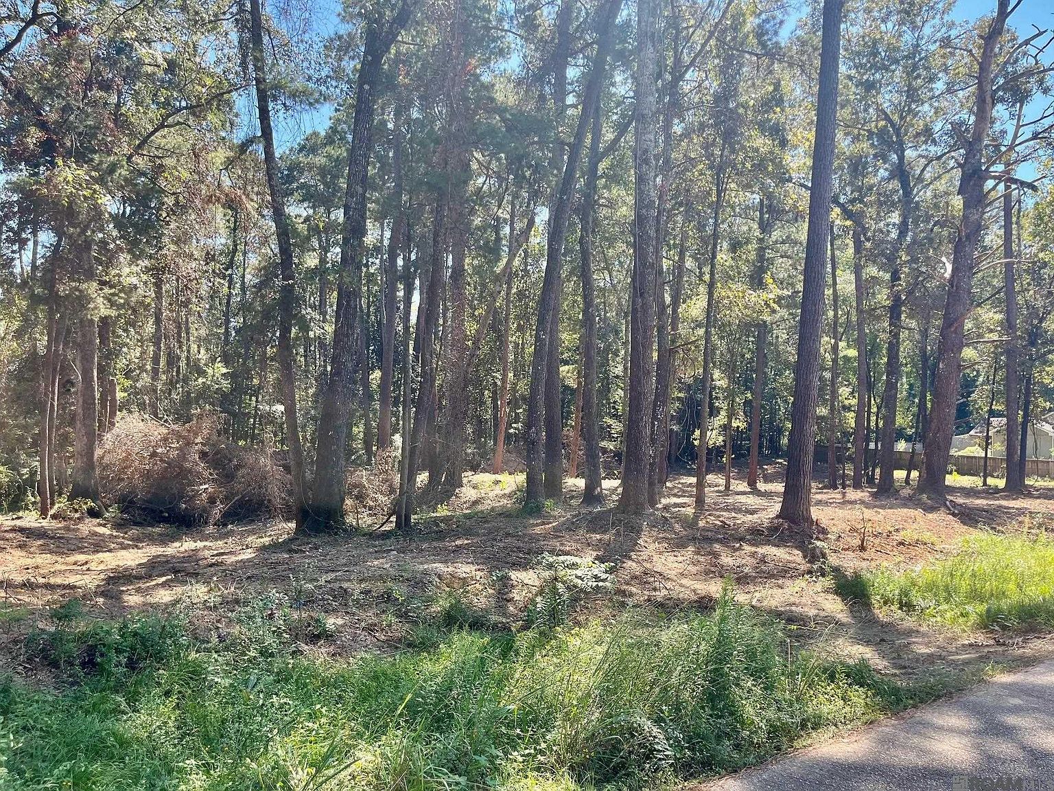 15912 Chaumont Ave Ethel, LA 70739 - Thumbnail 5