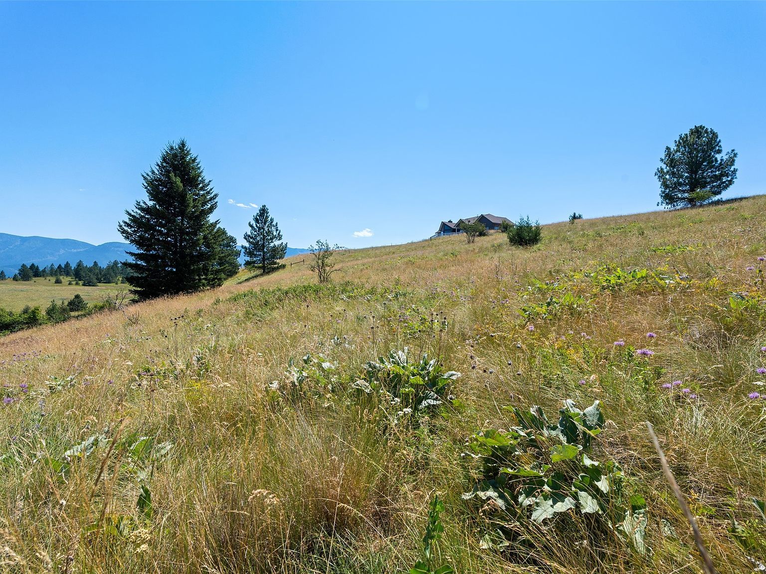 596 Claffey Dr Polson, MT 59860 - Thumbnail 5