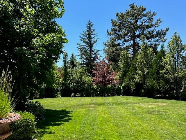 631 California Ave Reno, NV 89509 - Thumbnail 5