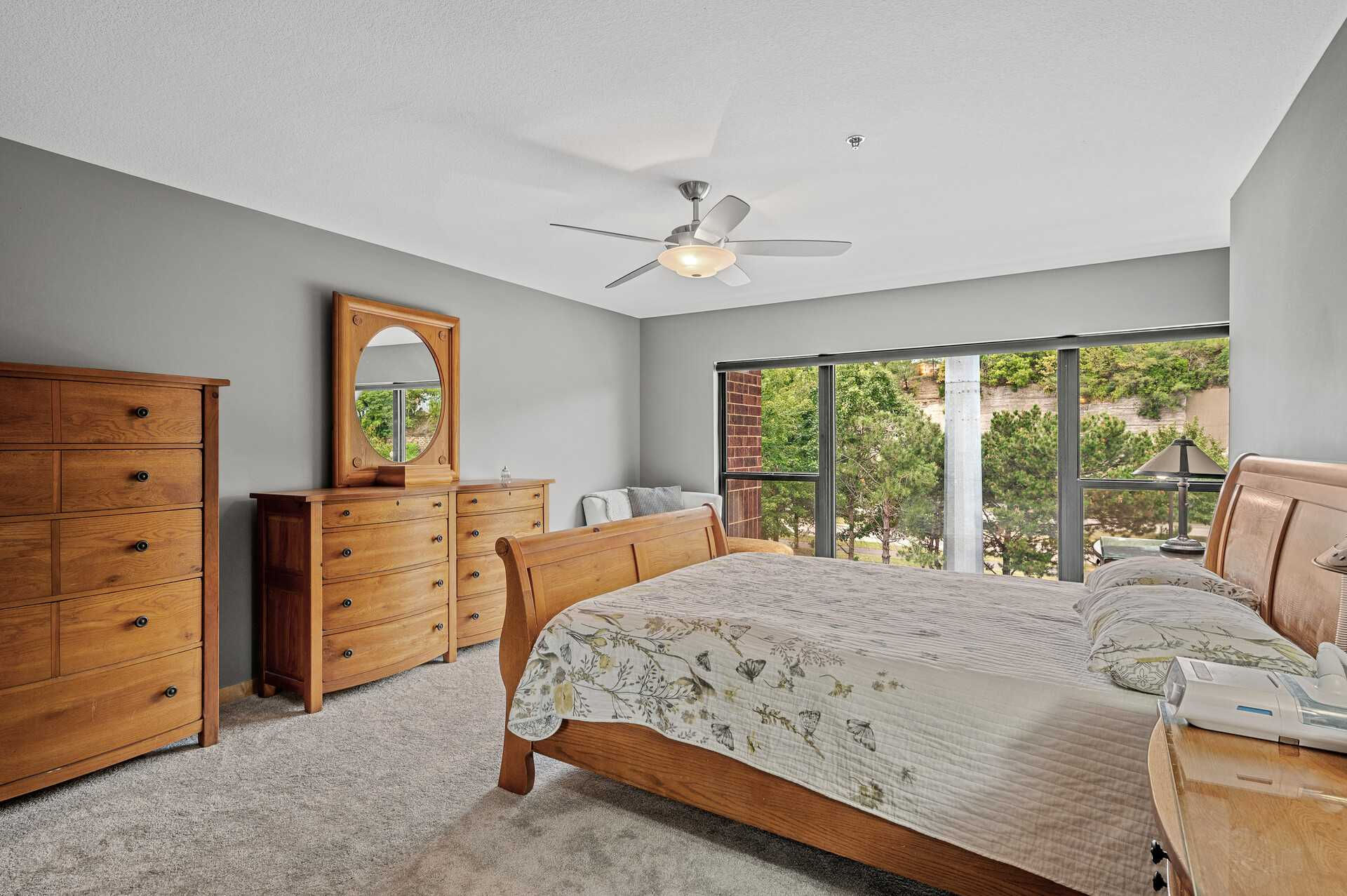 296 Spring Street, Saint Paul, MN, USA, 55102 - Thumbnail 5