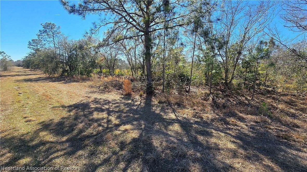 1870 Bear Bryant Rd Avon Park, FL 33825 - Thumbnail 5