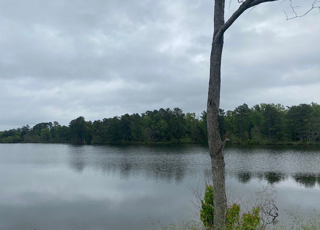 0 Wildwood Dr Shreveport, LA 71119 - Thumbnail 5