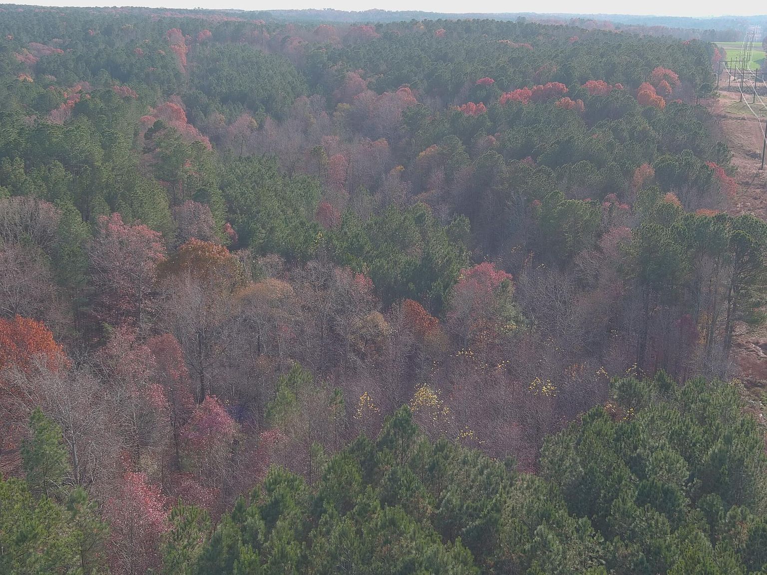 Lick Creek Rd Sanford, NC 27330 | Land/Lot