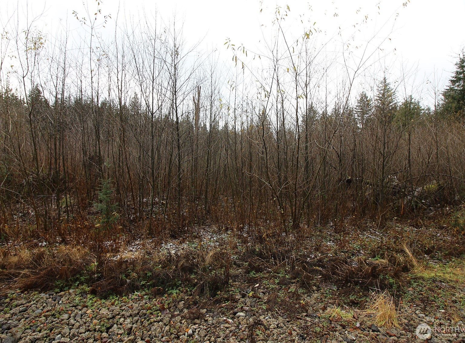 0 364th Ave SE #9015 Maple Valley, WA 98038 - Thumbnail 5