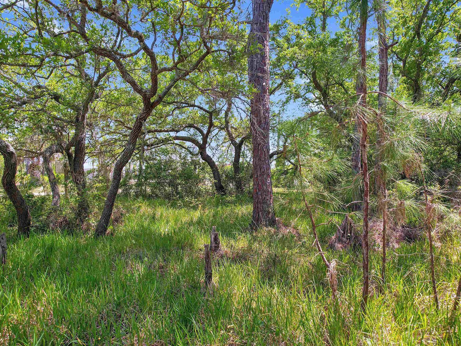 LOT 4 Pelican St Panacea, FL 32346 - Thumbnail 5