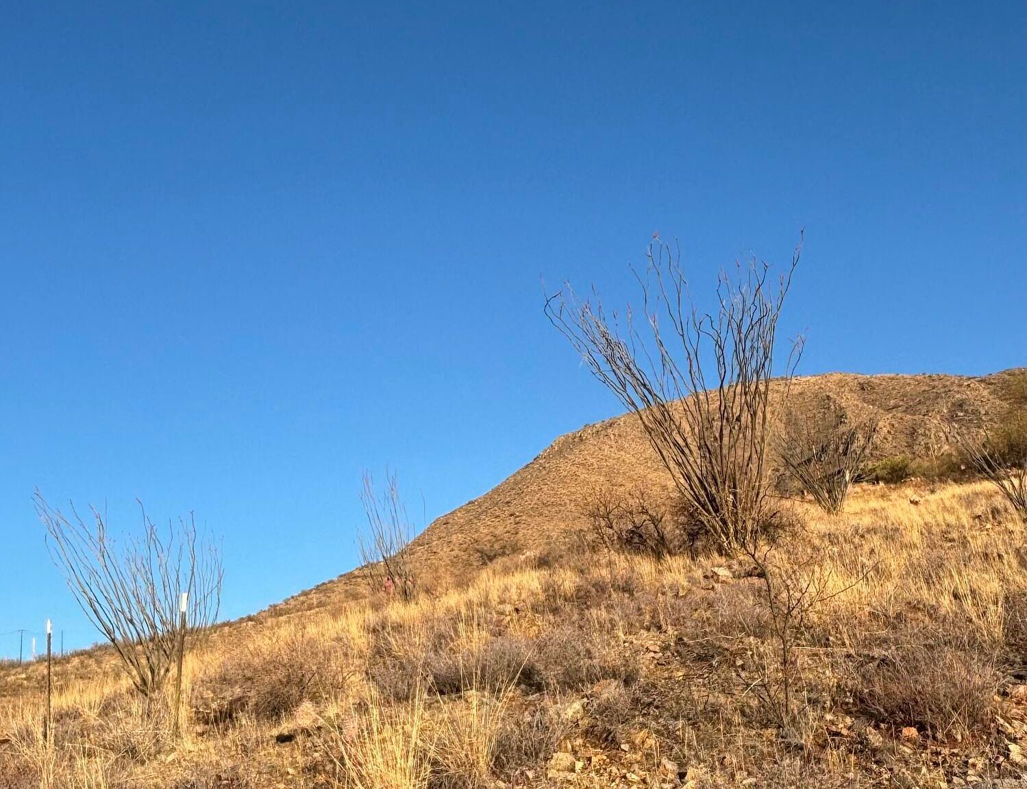 1779 Via Mazatlan #20-RIO Rio Rico, AZ 85648 - Thumbnail 5