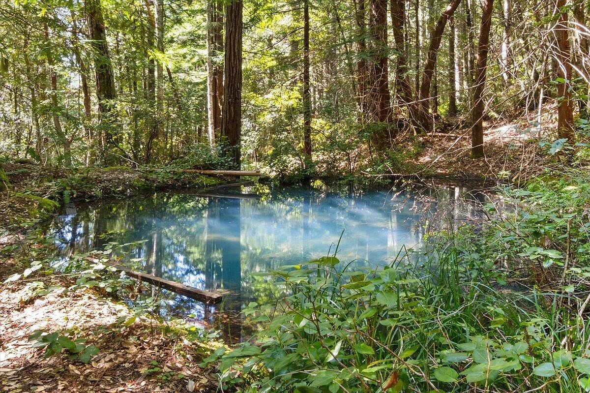 5684 Cummings Creek Rd Carlotta, CA 95528 - Thumbnail 5