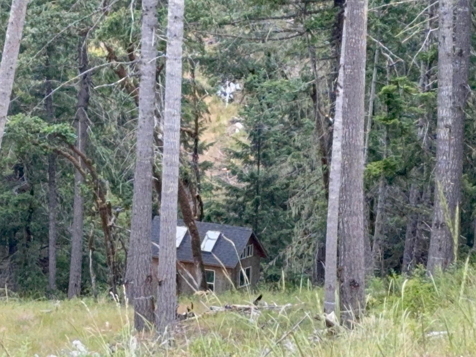 33000 State Highway 36 Bridgeville, CA 95526 - Thumbnail 5