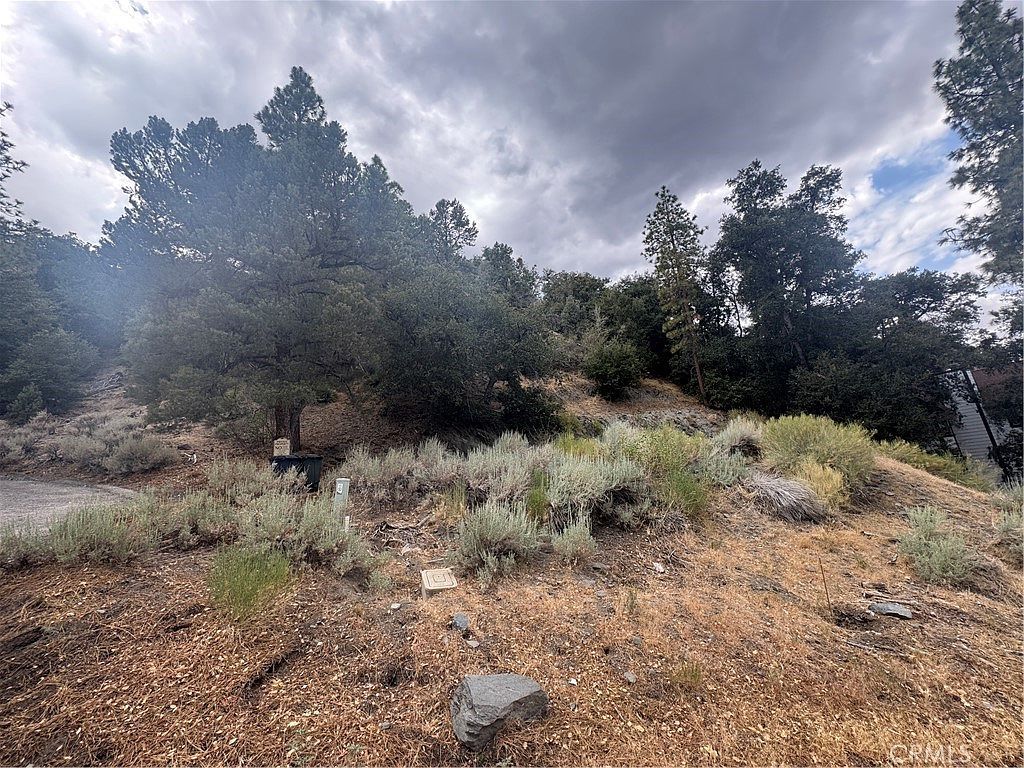 1772 Ash Rd Wrightwood, CA 92397 - Thumbnail 5