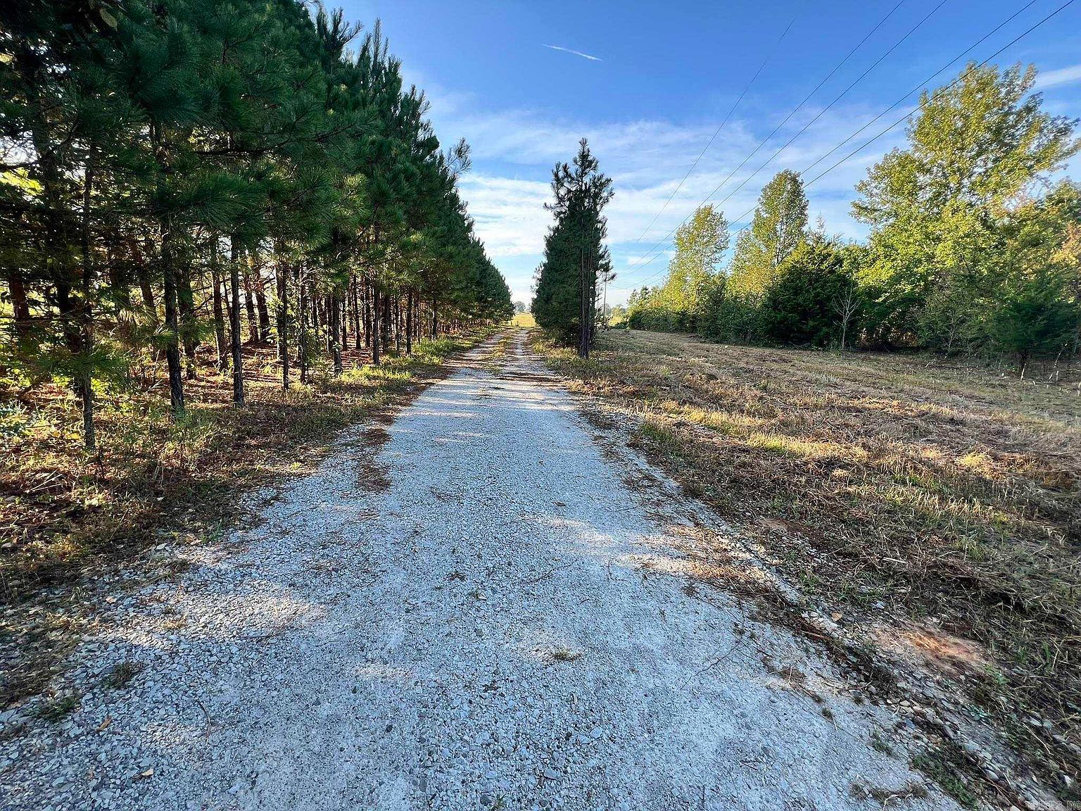 116 Cardin Cir Enola, AR 72047 - Thumbnail 5