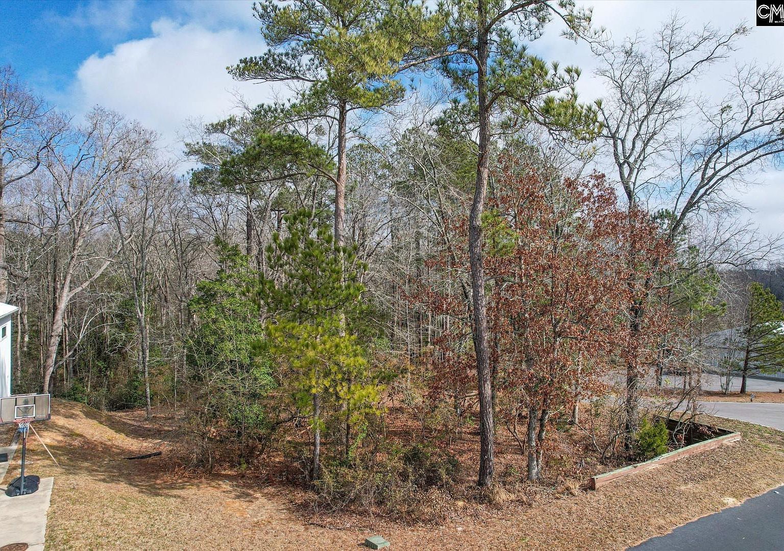 206 Cirrus Way Gilbert, SC 29054 - Thumbnail 5