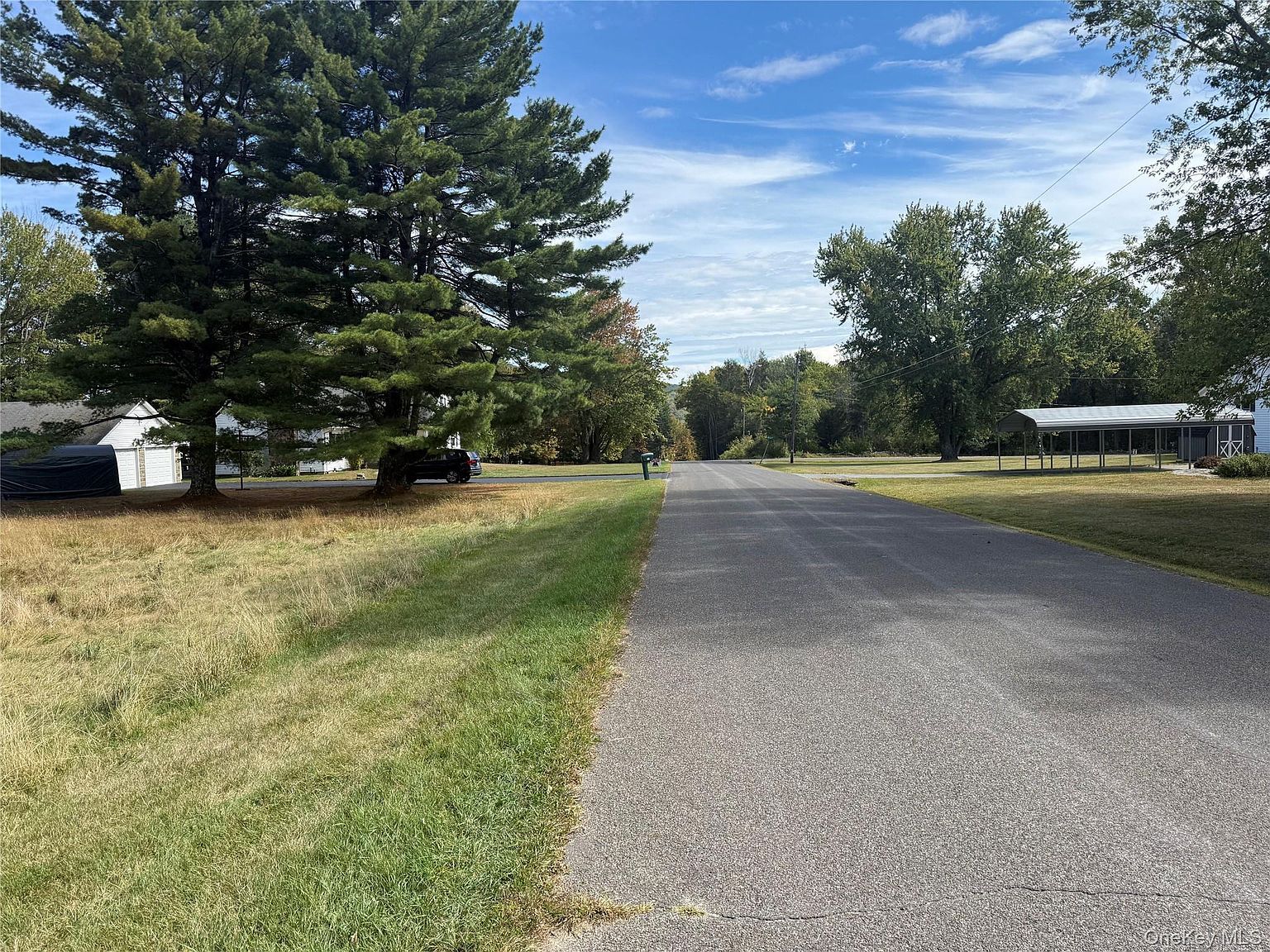 Hall Rd Grahamsville, NY 12740  | Land/Lot
