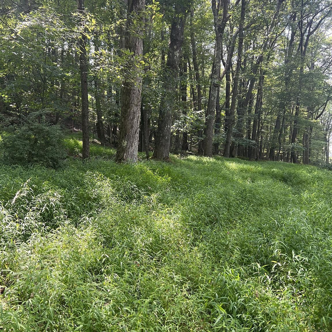 Santa Fe Trl Oakland, MD 21550 - Thumbnail 5