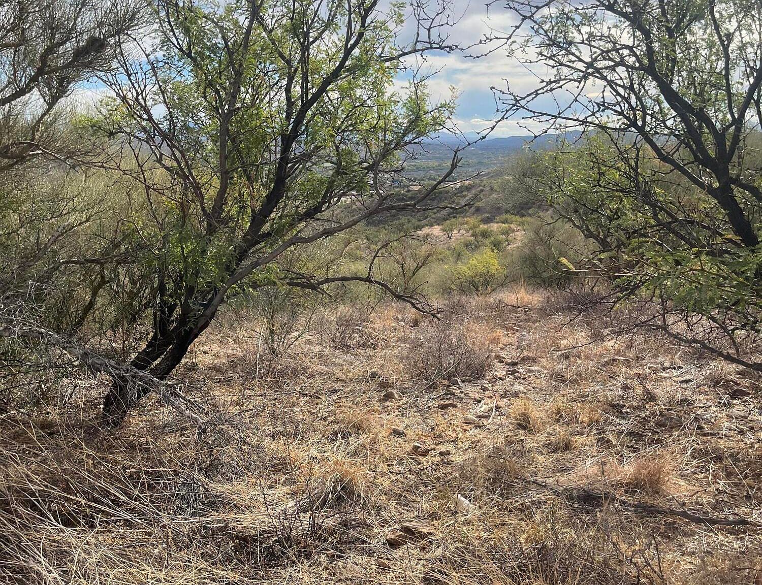 605 Camino Arviso #37 Rio Rico, AZ 85648 - Thumbnail 5